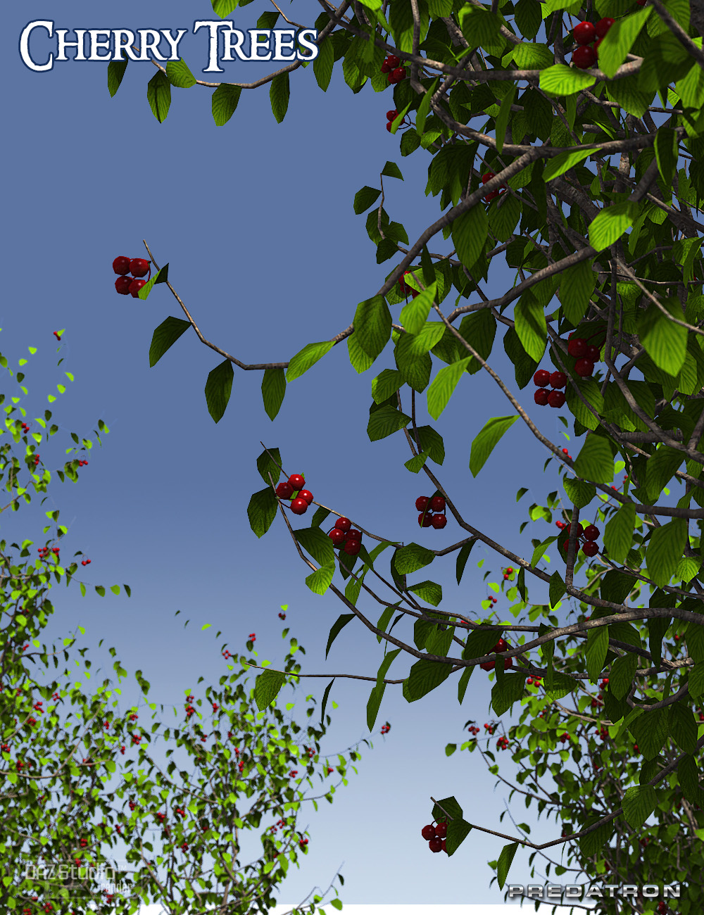 Predatron Cherry Trees by: Predatron, 3D Models by Daz 3D