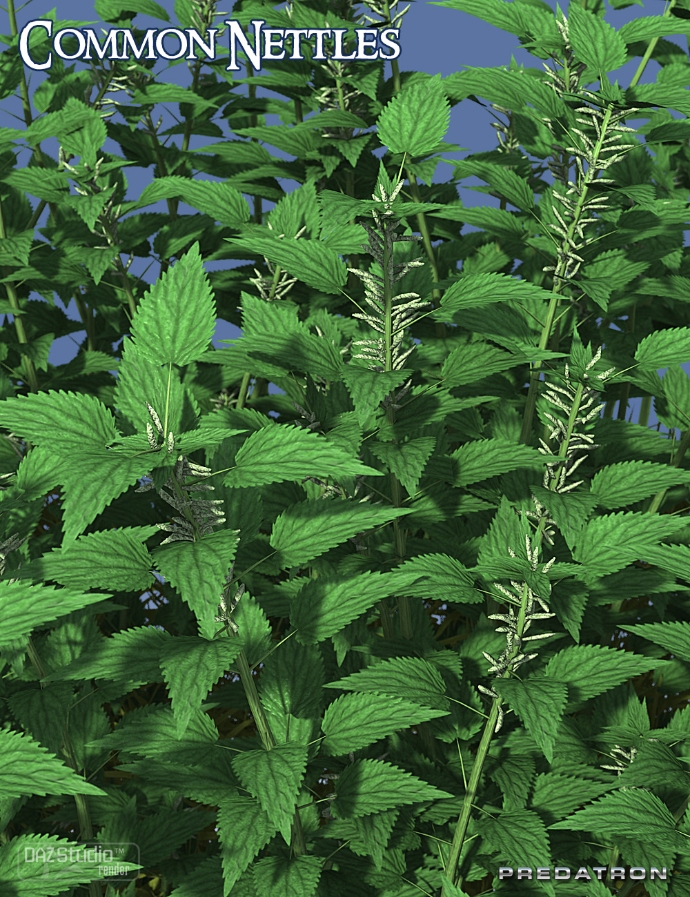 Predatron Common Nettles by: Predatron, 3D Models by Daz 3D