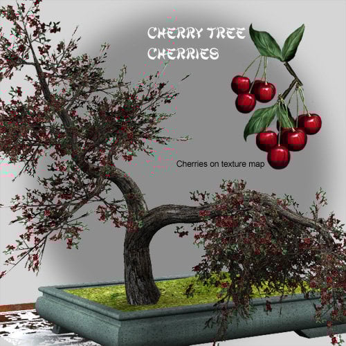 Season of the Cherry Tree Season of the Cherry Tree by: LaurieS, 3D Models by Daz 3D