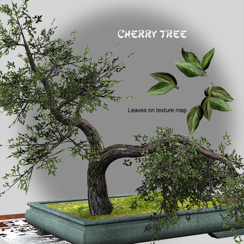 Season of the Cherry Tree by: LaurieS, 3D Models by Daz 3D