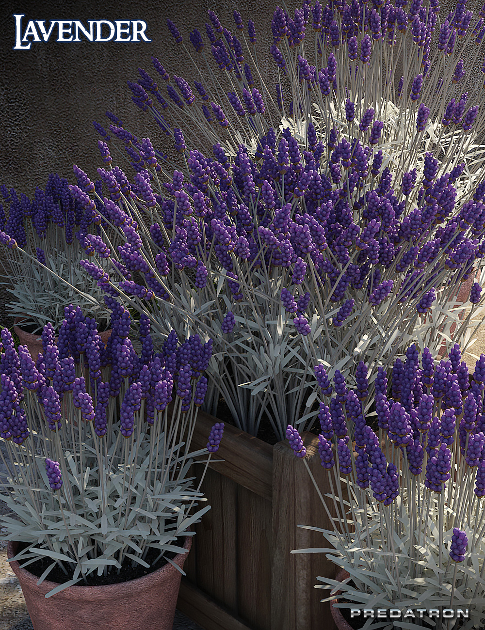 Predatron Lavender by: Predatron, 3D Models by Daz 3D