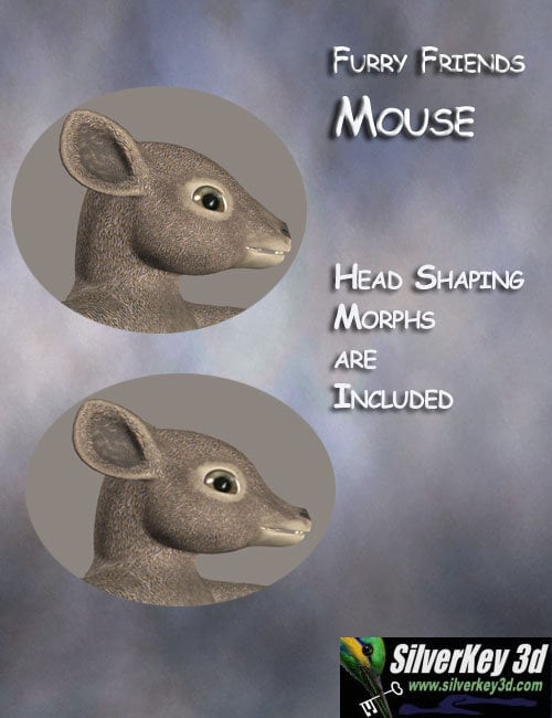 Furry Friends Mouse Furry Friends Mouse by: Debra Ross, 3D Models by Daz 3D