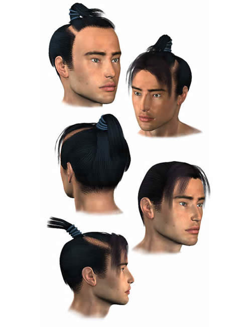 M3 Samurai Hair by: Lourdes, 3D Models by Daz 3D