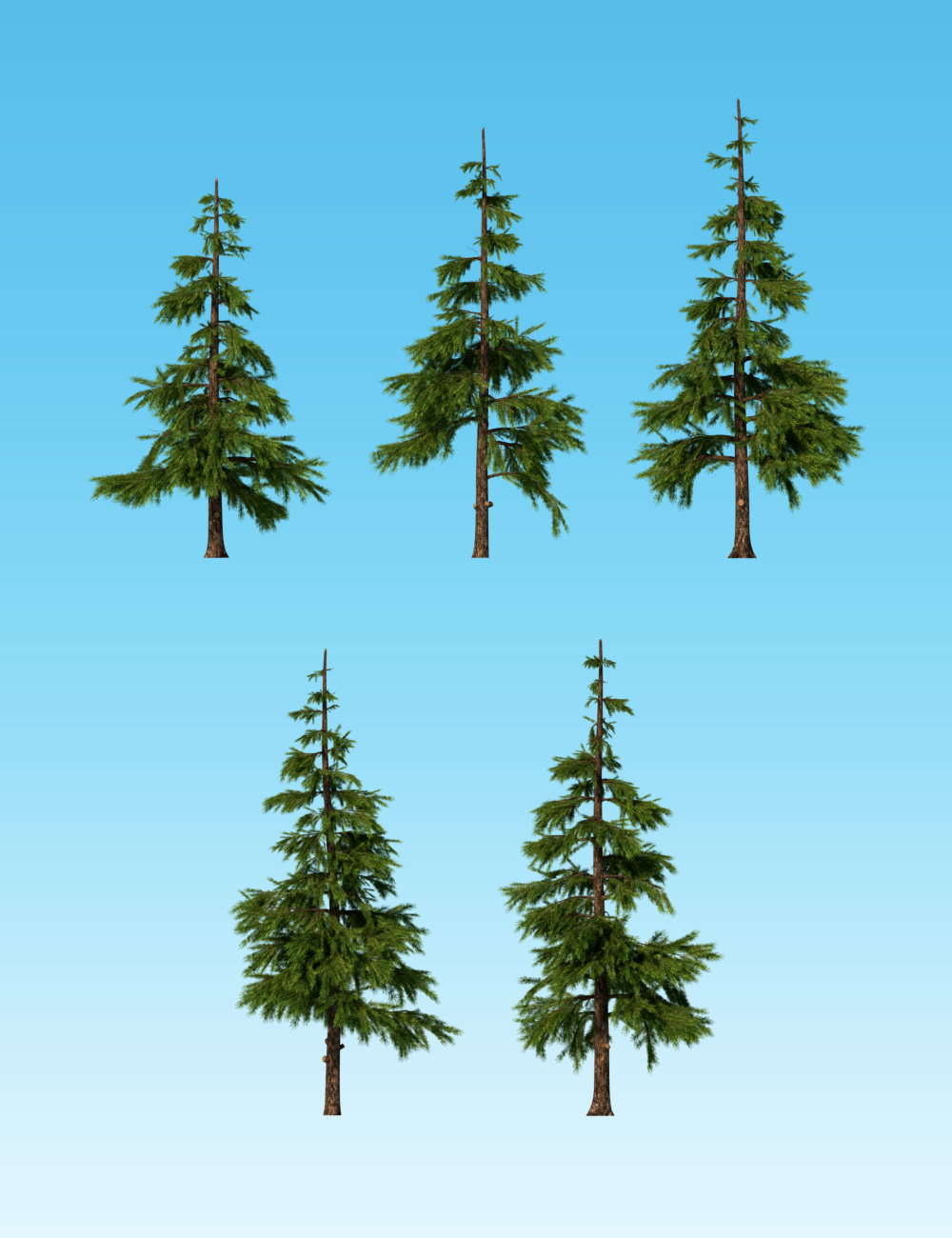 Nature - Firs and Pines Nature - Firs and Pines by: Andrey Pestryakov, 3D Models by Daz 3D