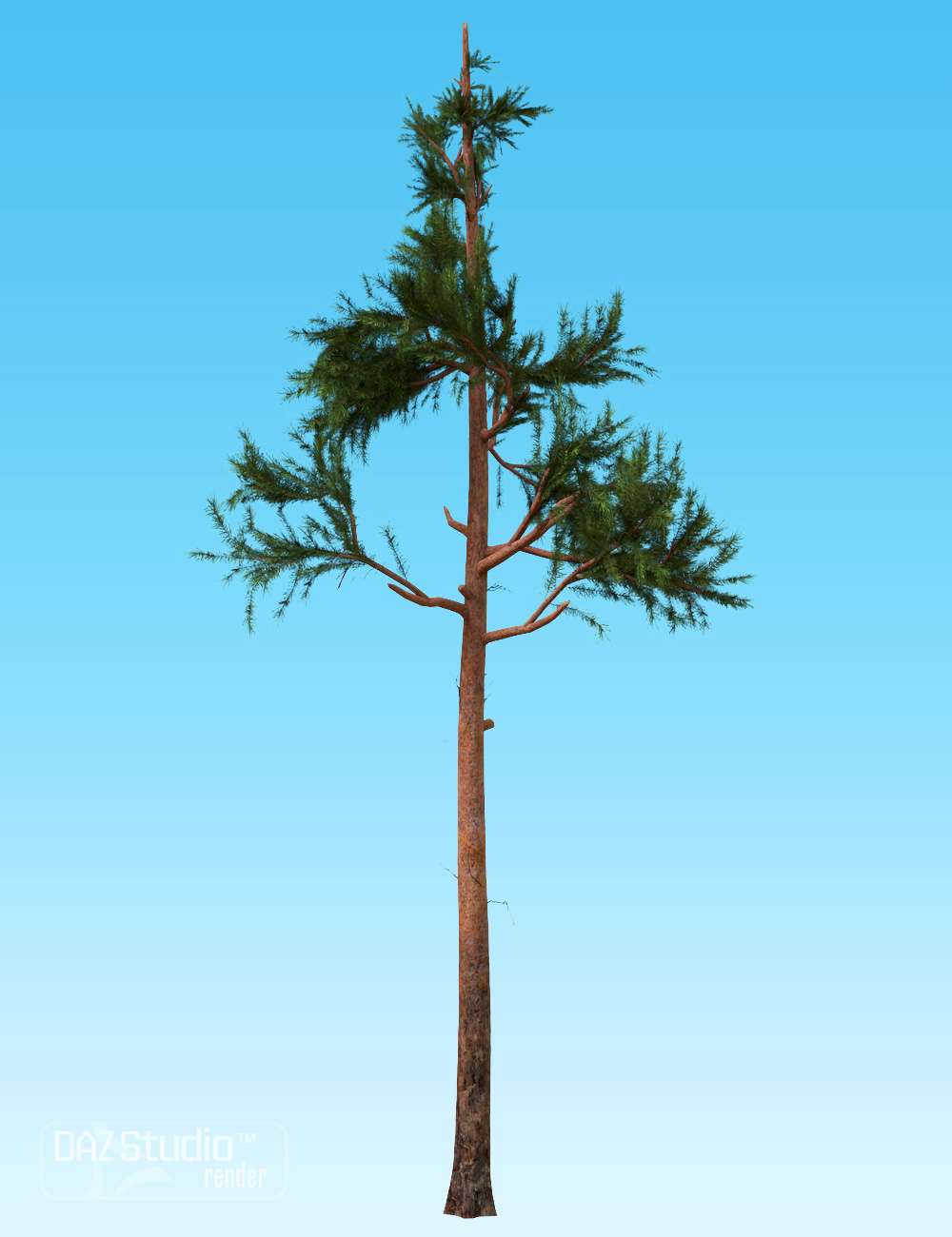 Nature - Firs and Pines by: Andrey Pestryakov, 3D Models by Daz 3D