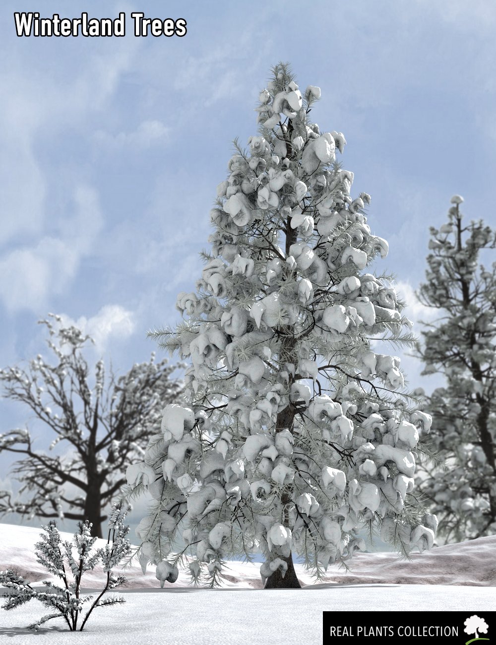 RPC Volume 2: Winterland Trees by: Alessandro_AMLMX3D, 3D Models by Daz 3D