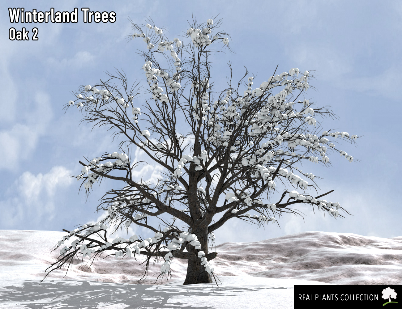 RPC Volume 2: Winterland Trees RPC Volume 2: Winterland Trees by: Alessandro_AMLMX3D, 3D Models by Daz 3D