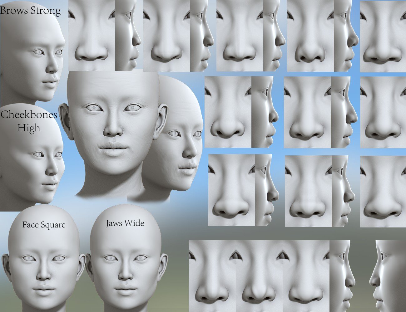 Mongolian Beauty - HD Faces and Morphs Mongolian Beauty - HD Faces and Morphs by: 3D-GHDesign, 3D Models by Daz 3D