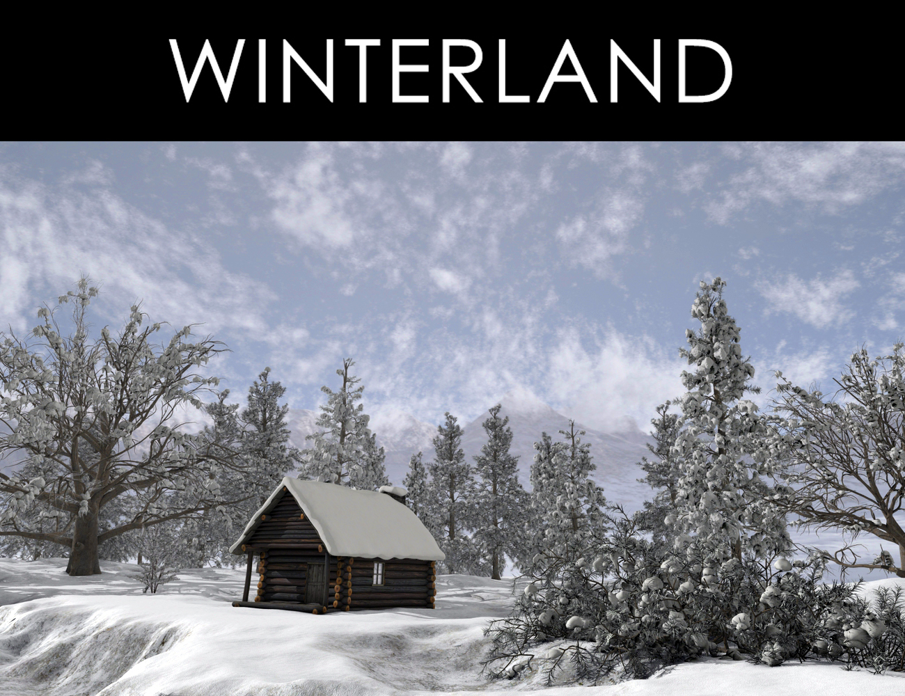 Winterland pics
