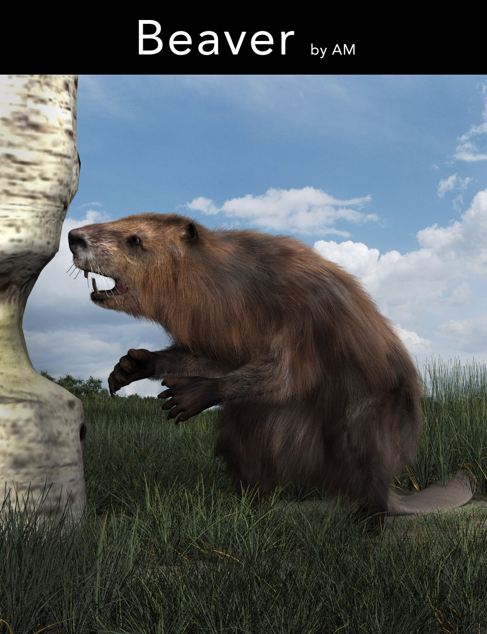 Beaver by AM | Daz 3D