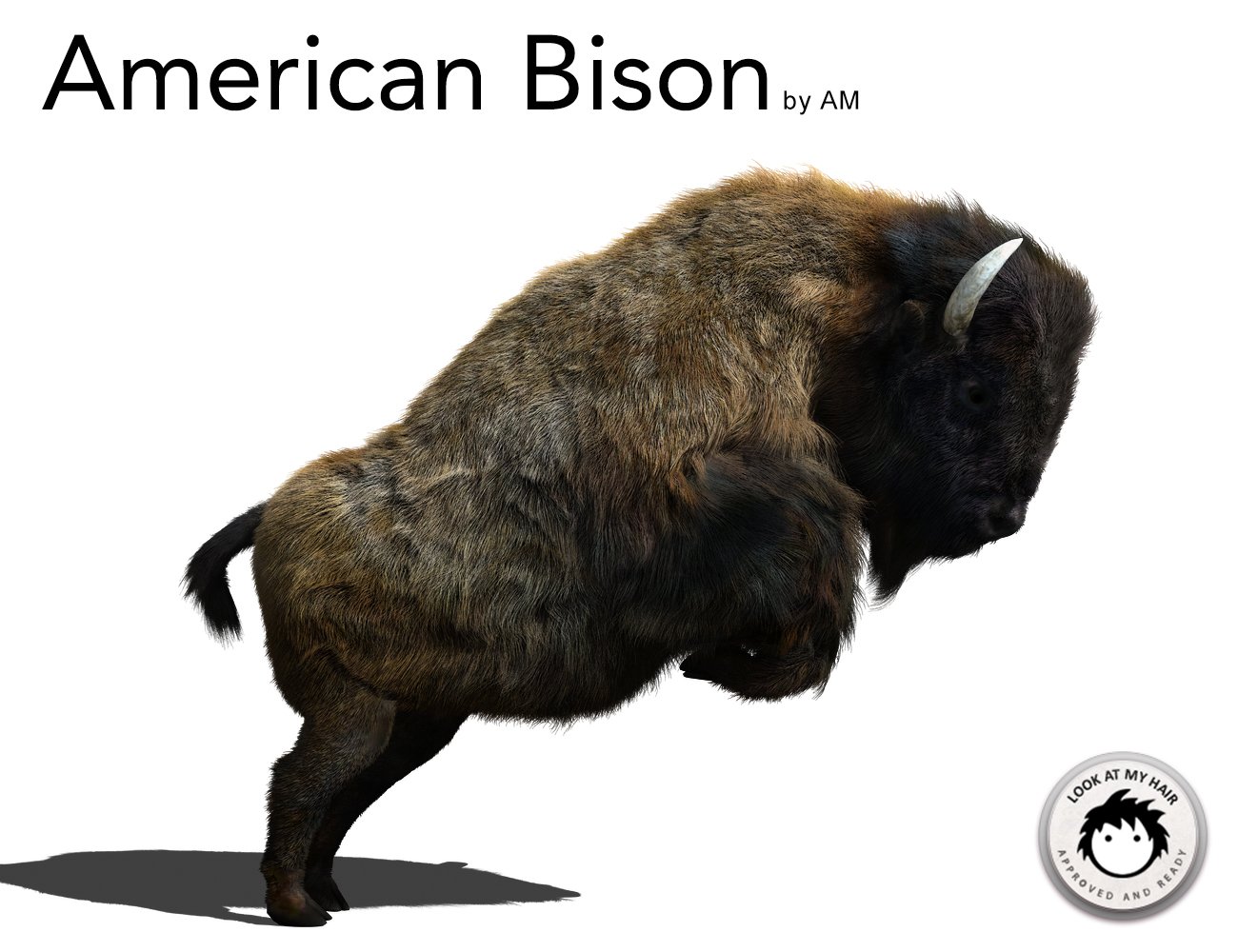 American Bison by: Alessandro_AM, 3D Models by Daz 3D