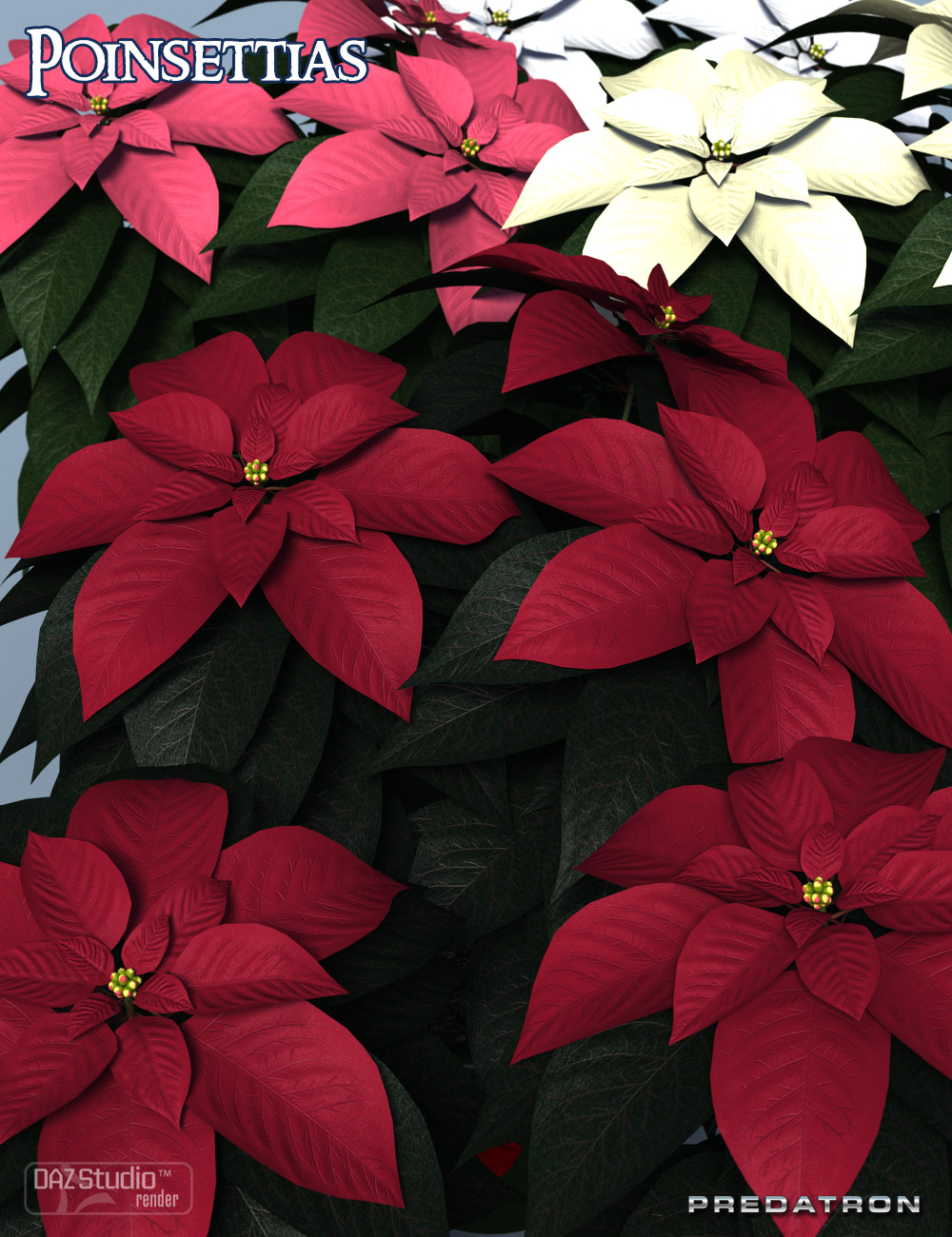 Predatron Poinsettias by: Predatron, 3D Models by Daz 3D