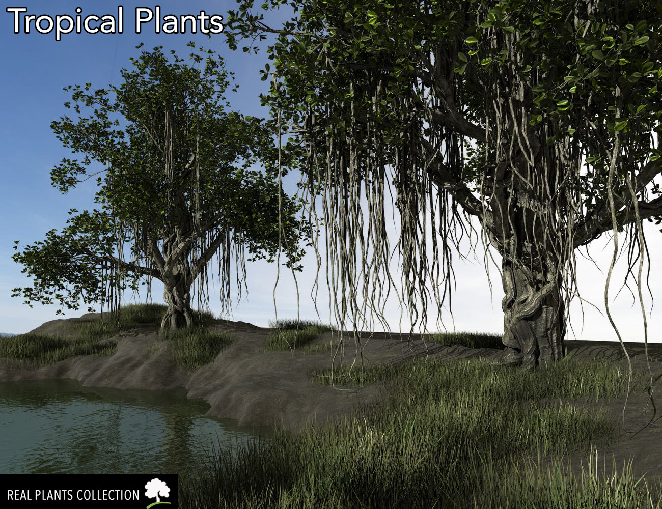 RPC Volume 3: Tropical Plants