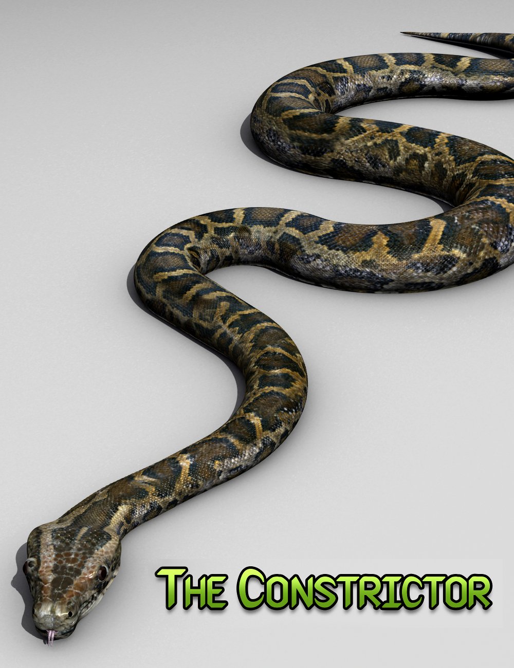 The Constrictor by: Sickleyield, 3D Models by Daz 3D