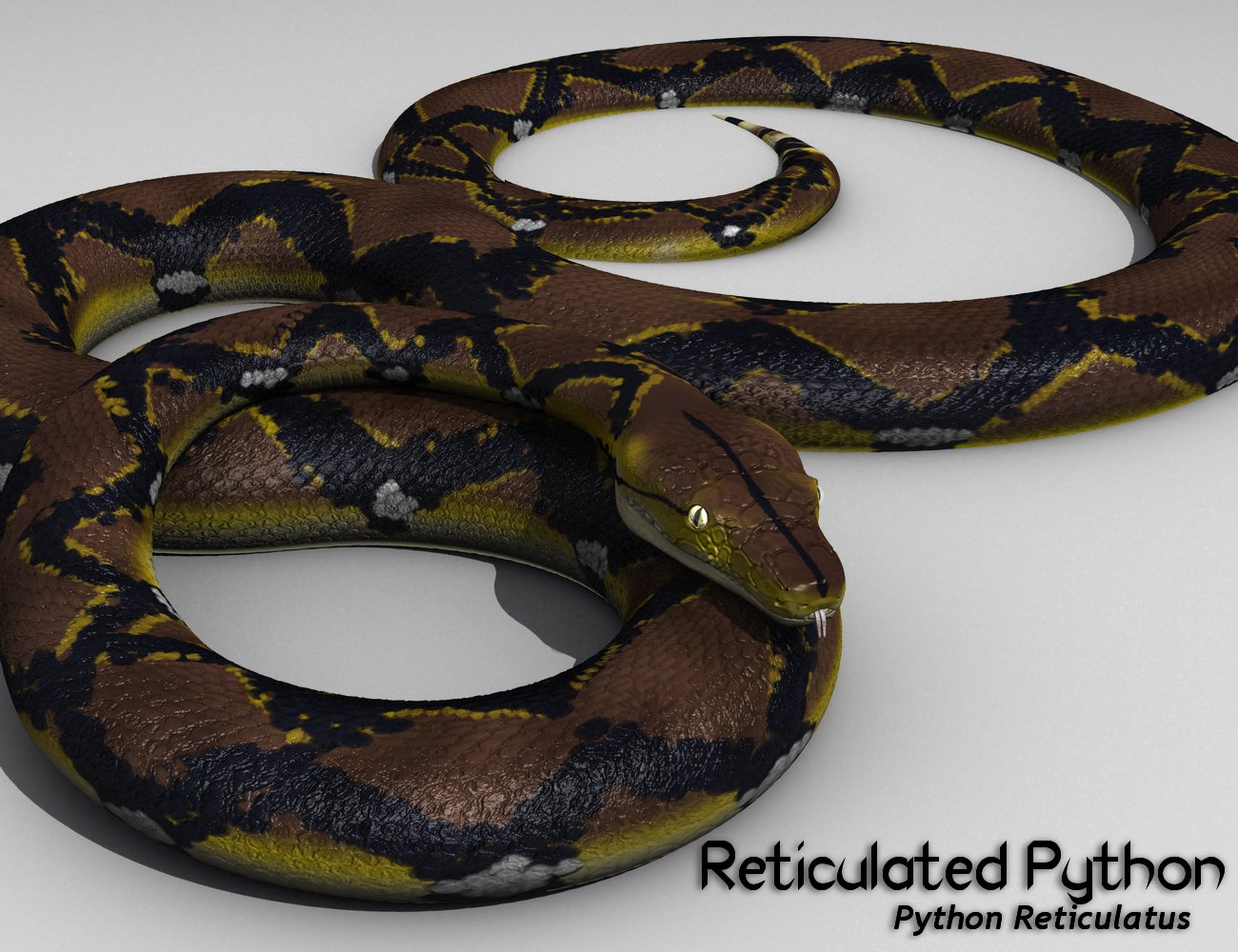 daz3d snake