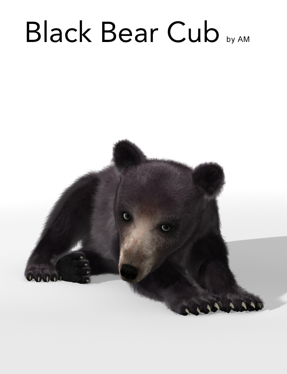 Black Bear Cub by AM by: Alessandro_AM, 3D Models by Daz 3D