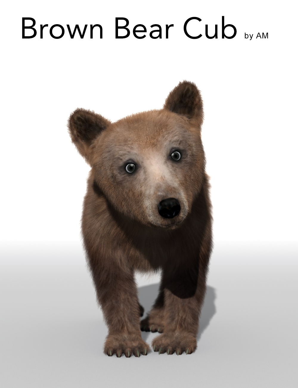 Brown Bear Cub by AM by: Alessandro_AM, 3D Models by Daz 3D
