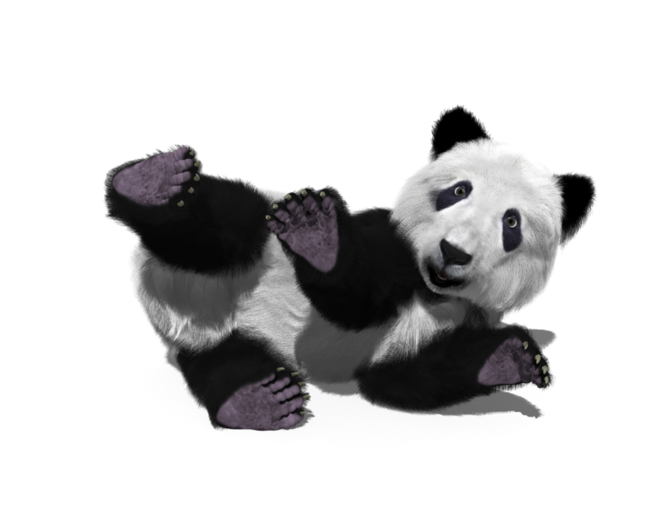 Panda Bear Cub by AM by: Alessandro_AM, 3D Models by Daz 3D