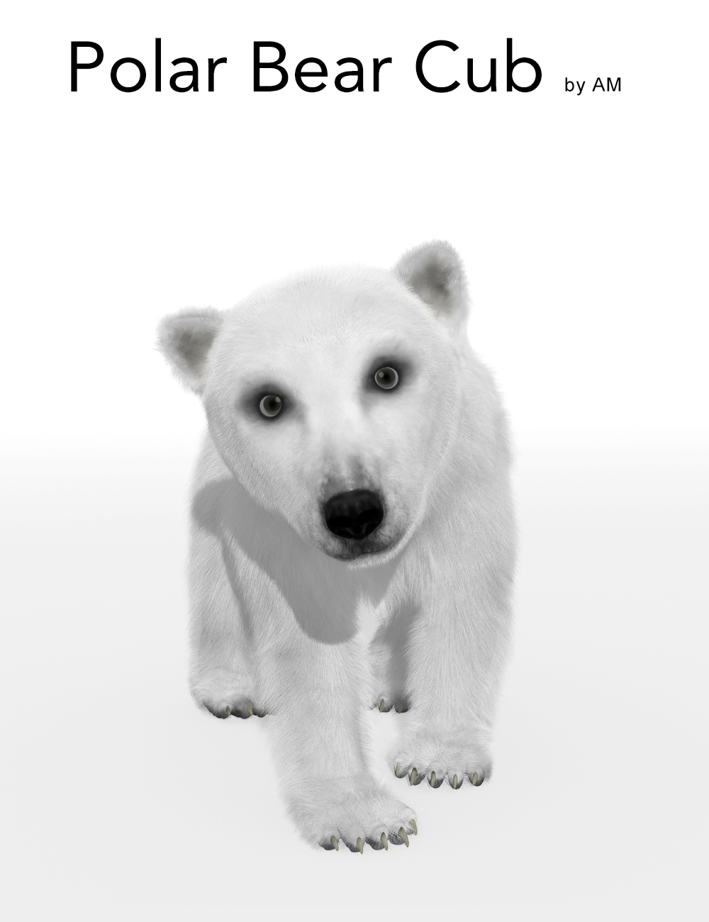 Polar Bear Cub by AM by: Alessandro_AM, 3D Models by Daz 3D