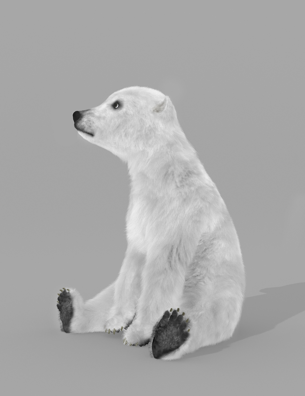 Polar Bear Cub by AM
