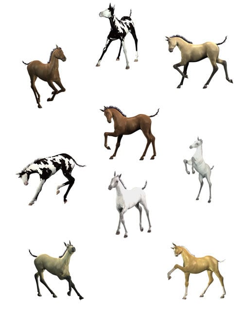 Horses of Courses Horses of Courses by: Cris Palomino, 3D Models by Daz 3D