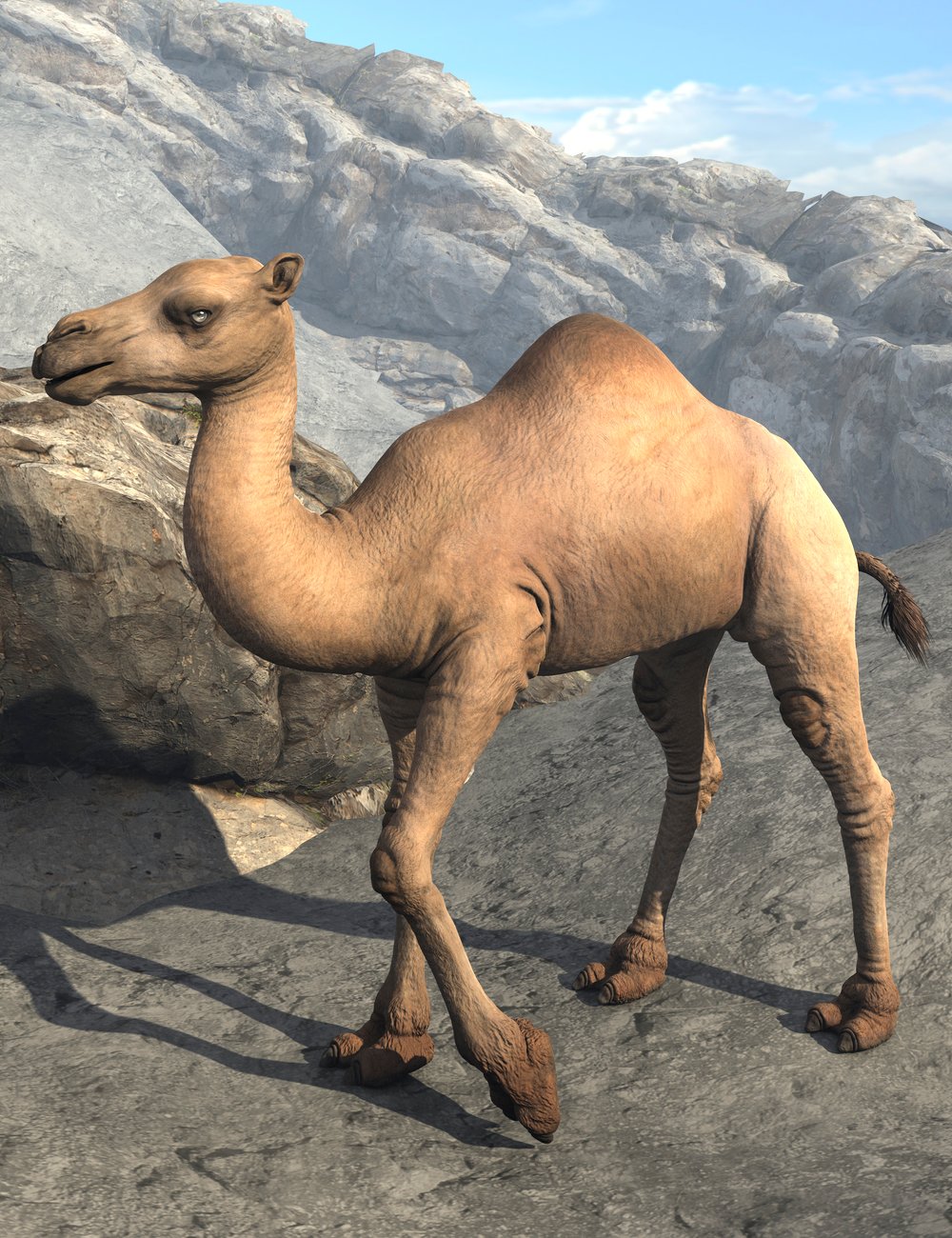 My Camel Camelia HD My Camel Camelia HD by: LuthbelLuthbellina, 3D Models by Daz 3D