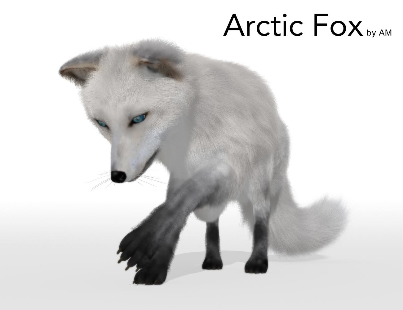 Arctic Fox by AM by: Alessandro_AM, 3D Models by Daz 3D