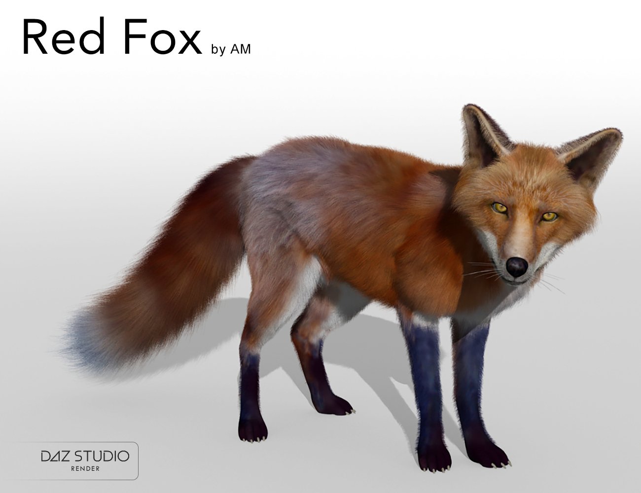 Red Fox by AM by: Alessandro_AM, 3D Models by Daz 3D