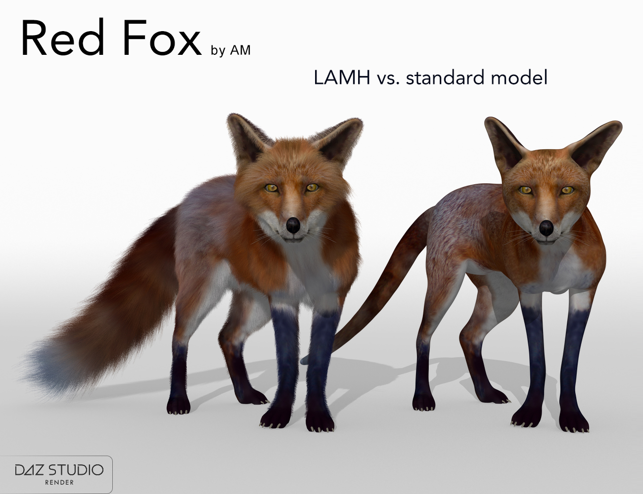 Red Fox by AM by: Alessandro_AM, 3D Models by Daz 3D