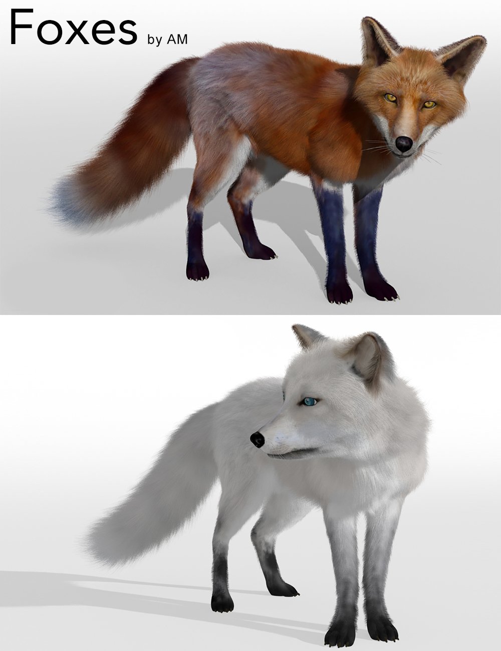 Foxes by AM by: Alessandro_AM, 3D Models by Daz 3D