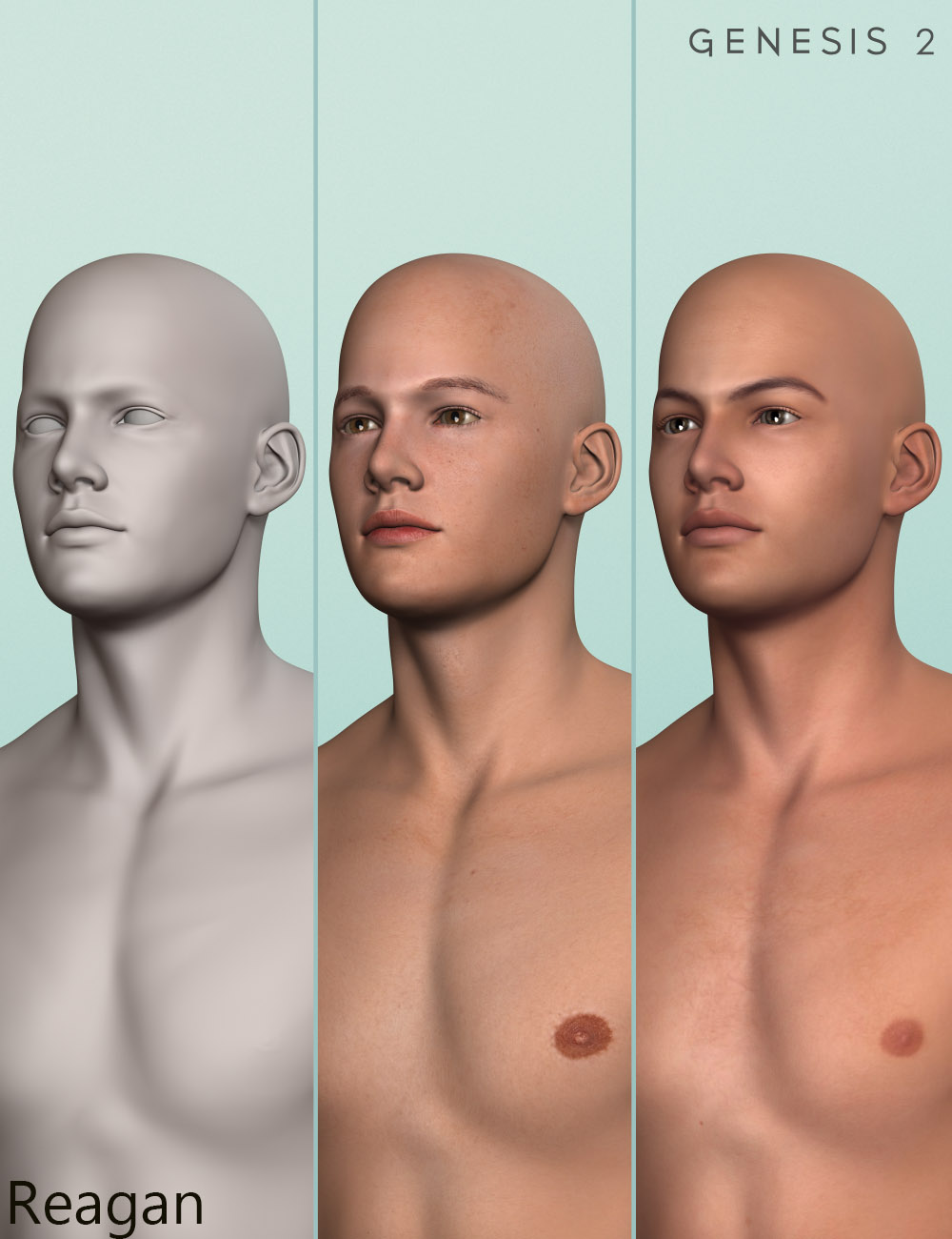 Young Jarek Shapes for Genesis 2 Male(s) and Brodie 6 HD by: Male-M3dia, 3D Models by Daz 3D