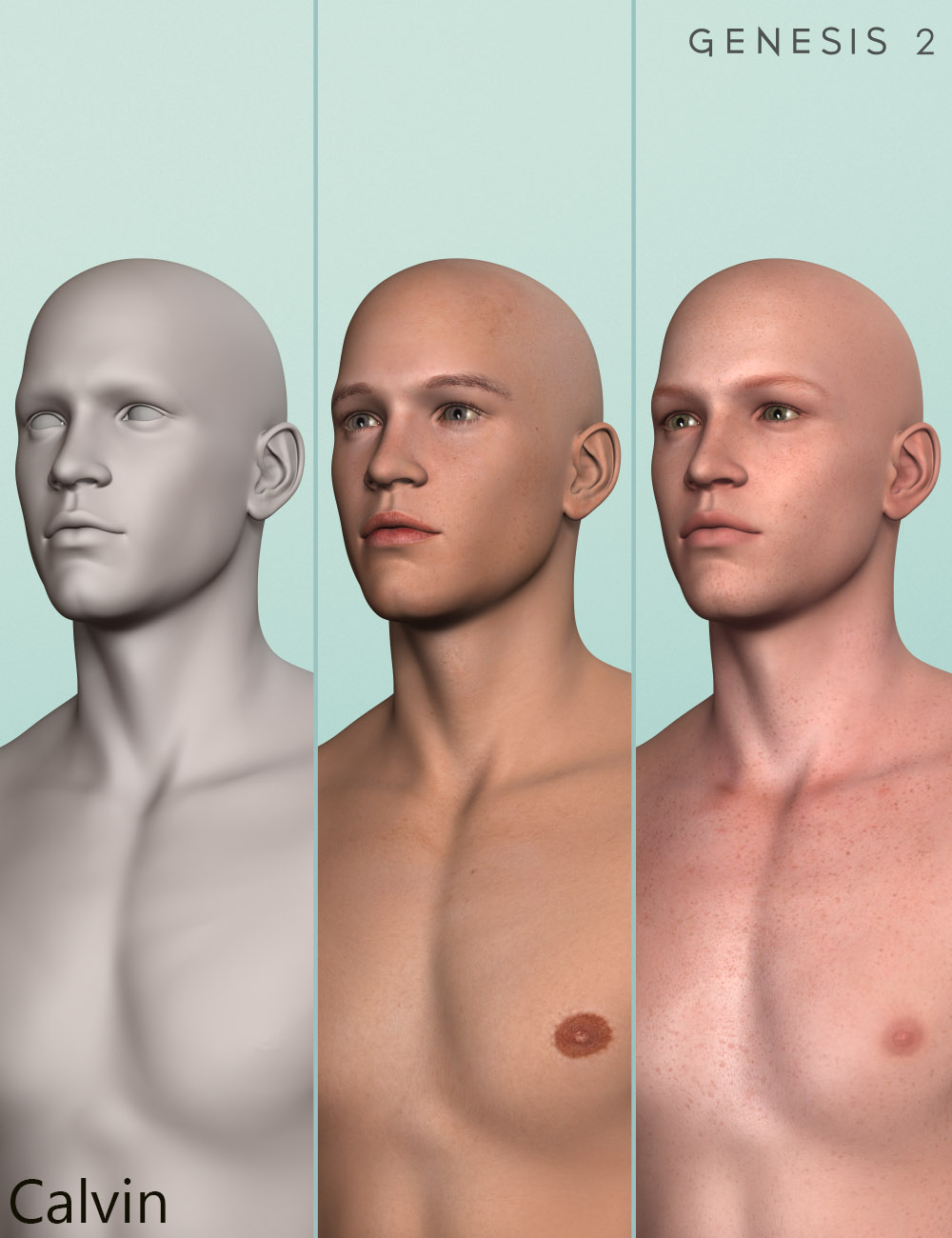 Young Jarek Shapes for Genesis 2 Male(s) and Brodie 6 HD by: Male-M3dia, 3D Models by Daz 3D