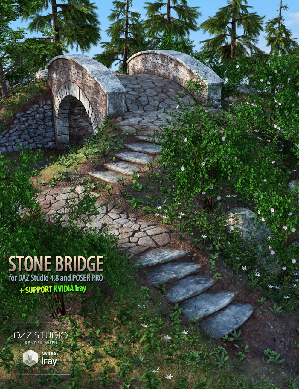 Stone Bridge by: Andrey Pestryakov, 3D Models by Daz 3D