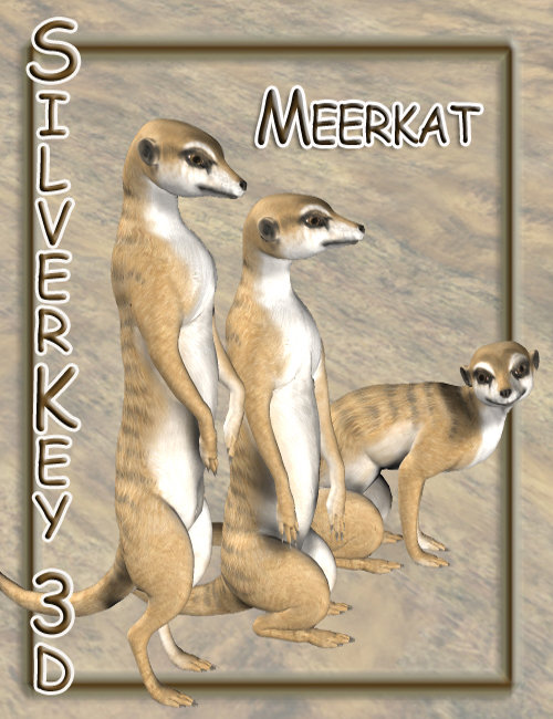 Meerkat by: Debra Ross, 3D Models by Daz 3D