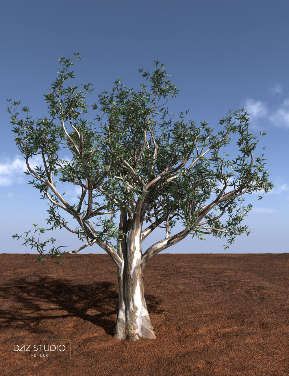 RPC Volume 4: Australian Outback by: Alessandro_AMLMX3D, 3D Models by Daz 3D