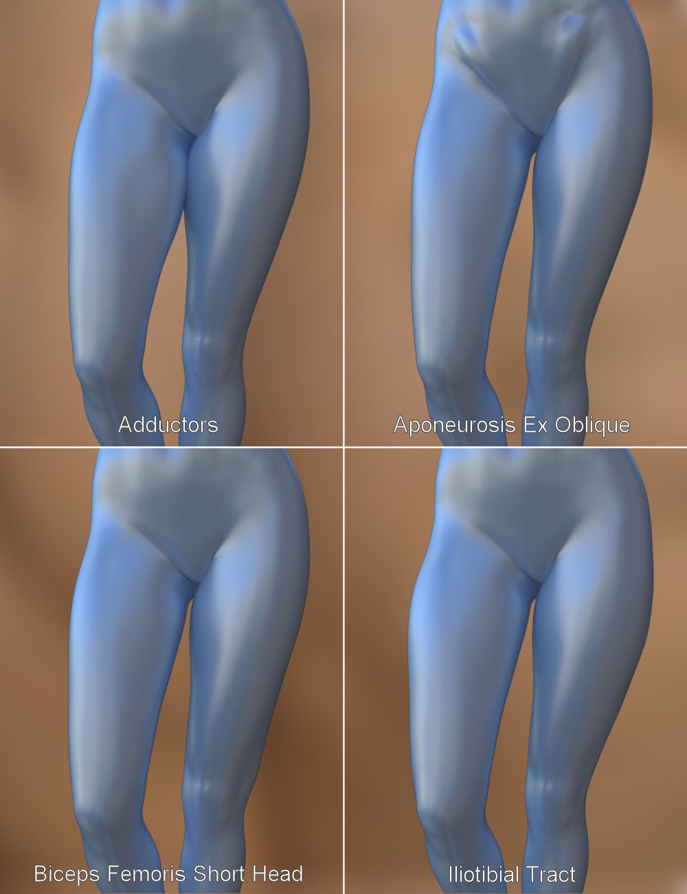 Musculature HD Morphs for Genesis 3 Female(s) by: xenic101, 3D Models by Daz 3D