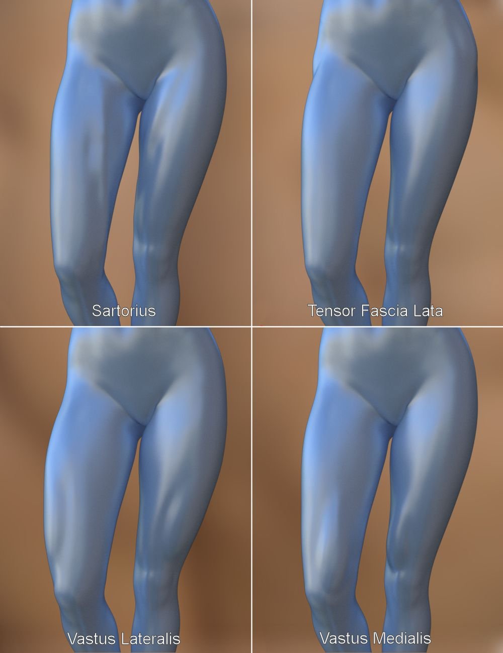 Musculature HD Morphs for Genesis 3 Female(s) by: xenic101, 3D Models by Daz 3D