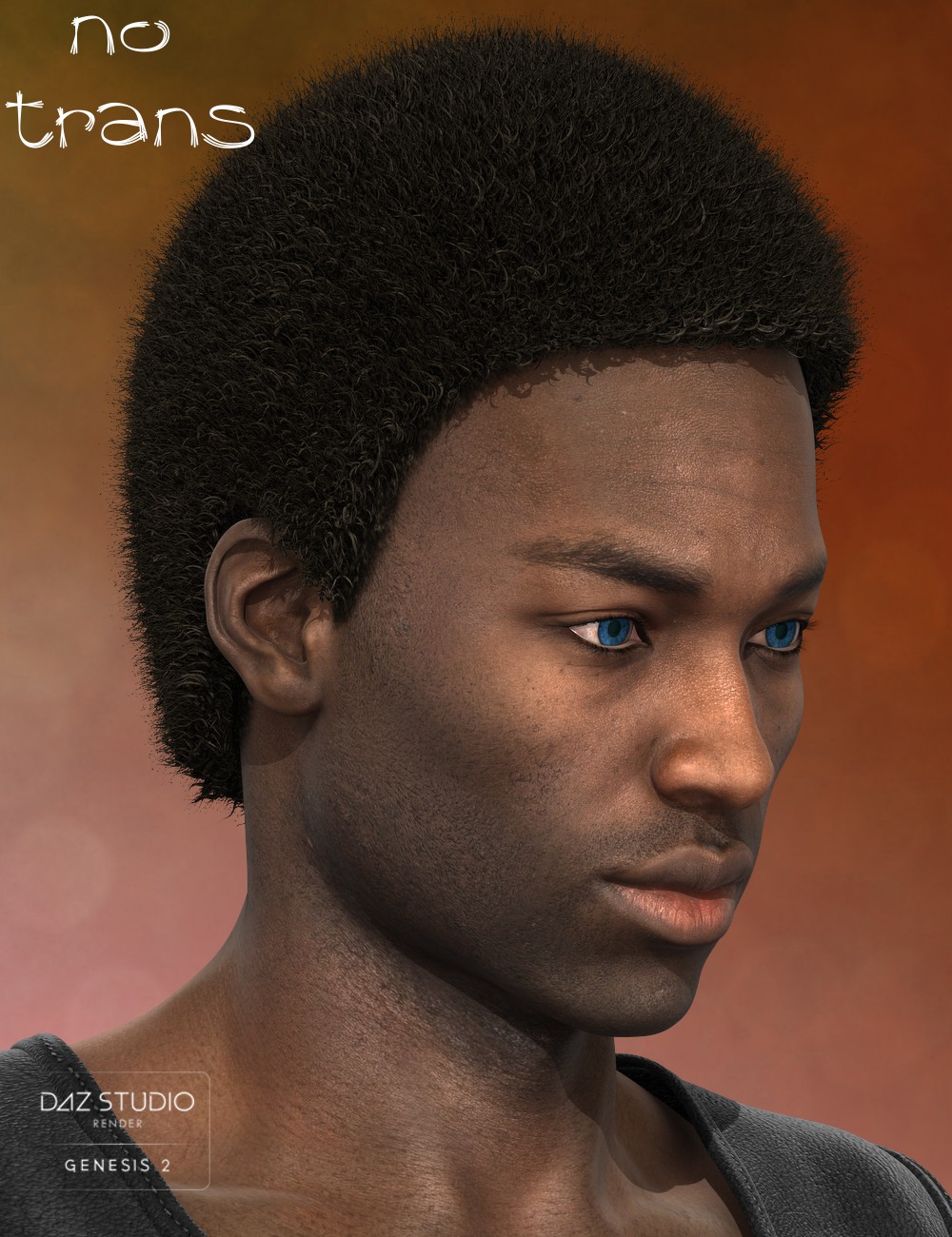 Nuru Hair for Genesis 2 Male(s) | Daz 3D