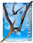 Pteranodon by: Debra Ross, 3D Models by Daz 3D