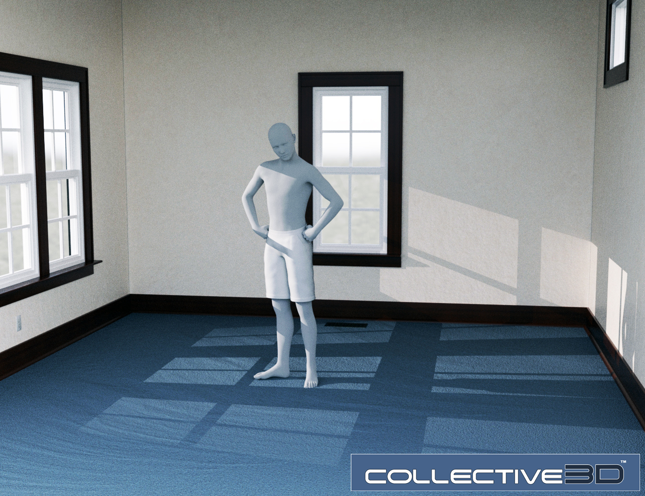 Collective3d Create a Room Base Set by: Collective3d, 3D Models by Daz 3D