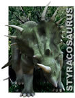 Styracosaurus by: Carmelo Lopez, 3D Models by Daz 3D