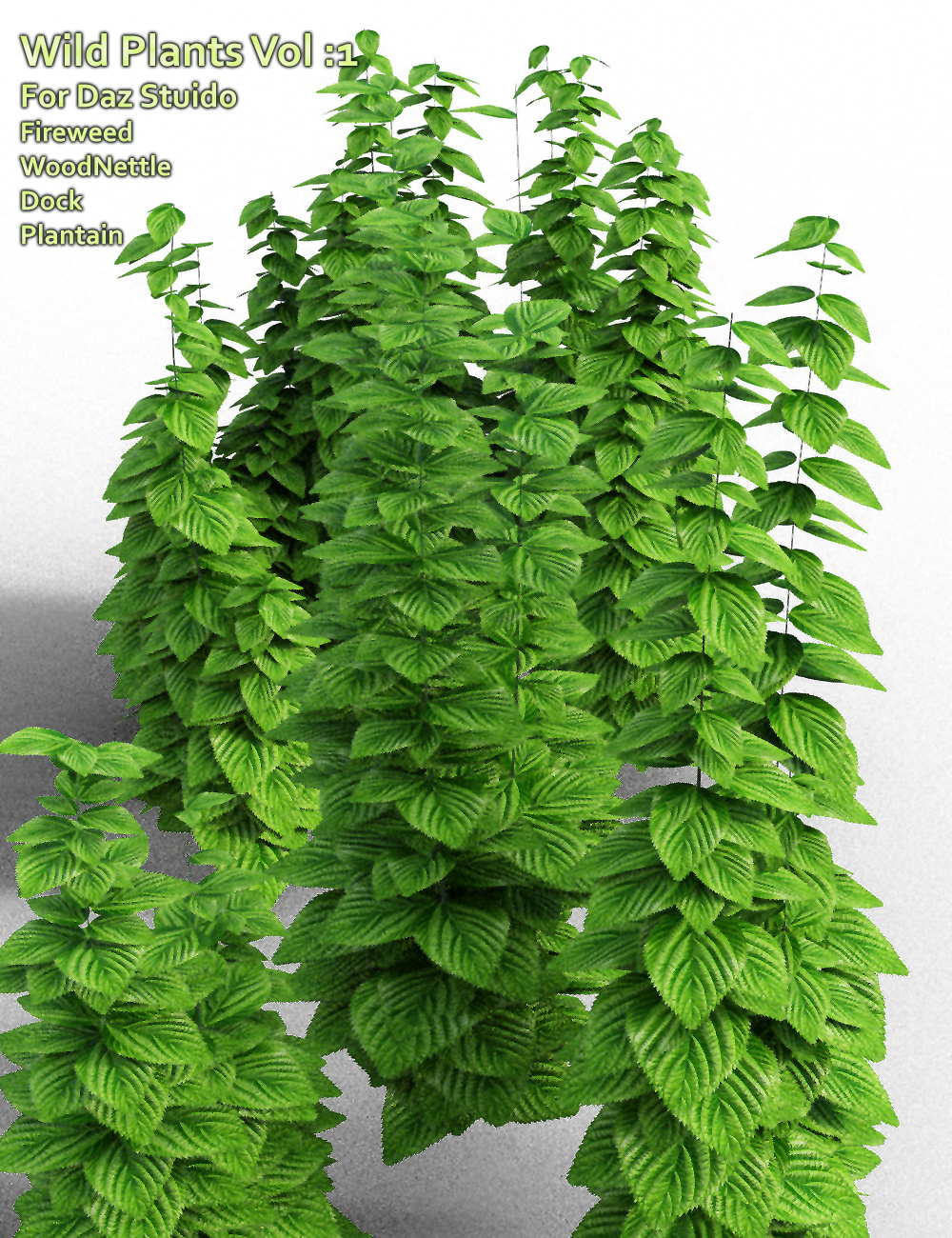 Wild Plants Vol: 1 for Daz Studio Wild Plants Vol: 1 for Daz Studio by: MartinJFrost, 3D Models by Daz 3D