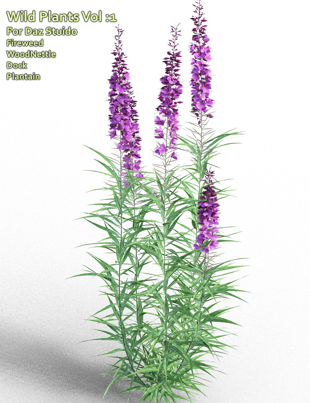 Wild Plants Vol: 1 for Daz Studio by: MartinJFrost, 3D Models by Daz 3D