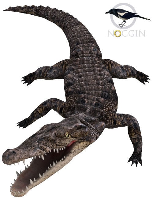 Noggin's Poser Croc by: noggin, 3D Models by Daz 3D