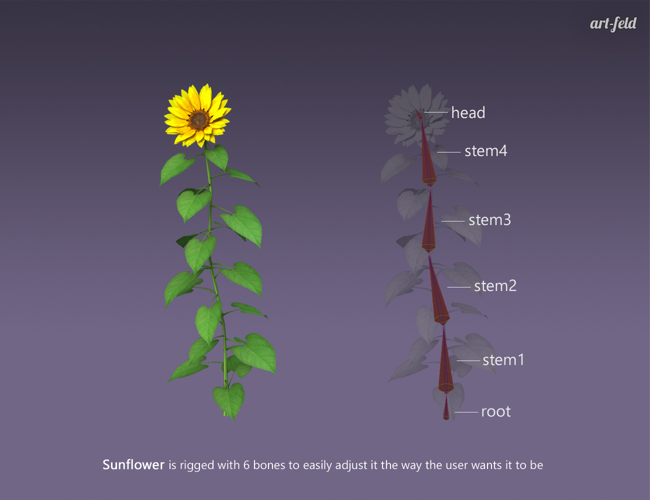 Between Sunflowers by: art-feld, 3D Models by Daz 3D