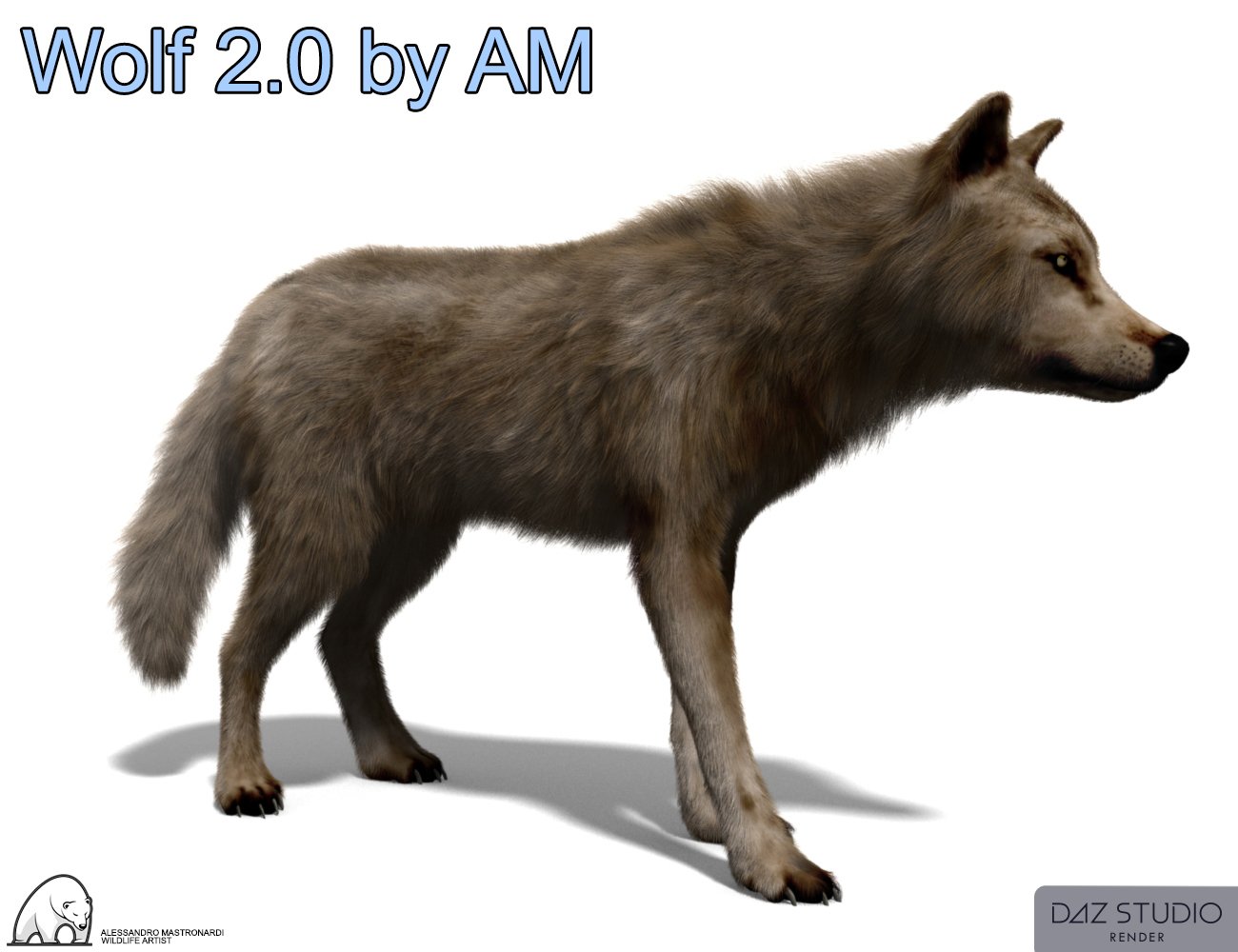 Wolf 2.0 by AM by: Alessandro_AM, 3D Models by Daz 3D