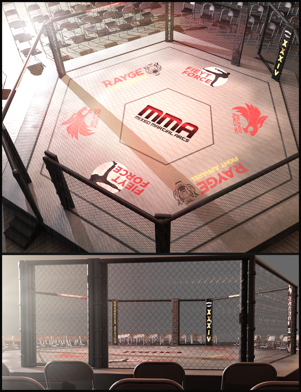 MMA Fighting Arena by: ironman13, 3D Models by Daz 3D