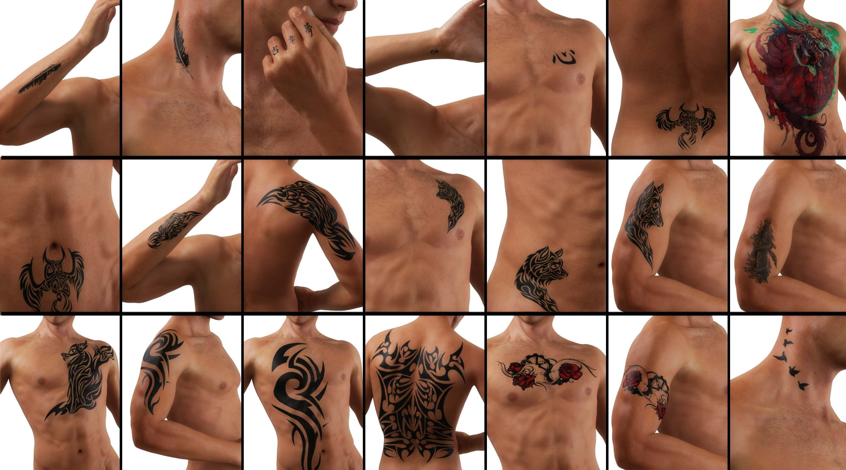 Tattoo for Genesis 3 Male(s) by: Neikdian, 3D Models by Daz 3D