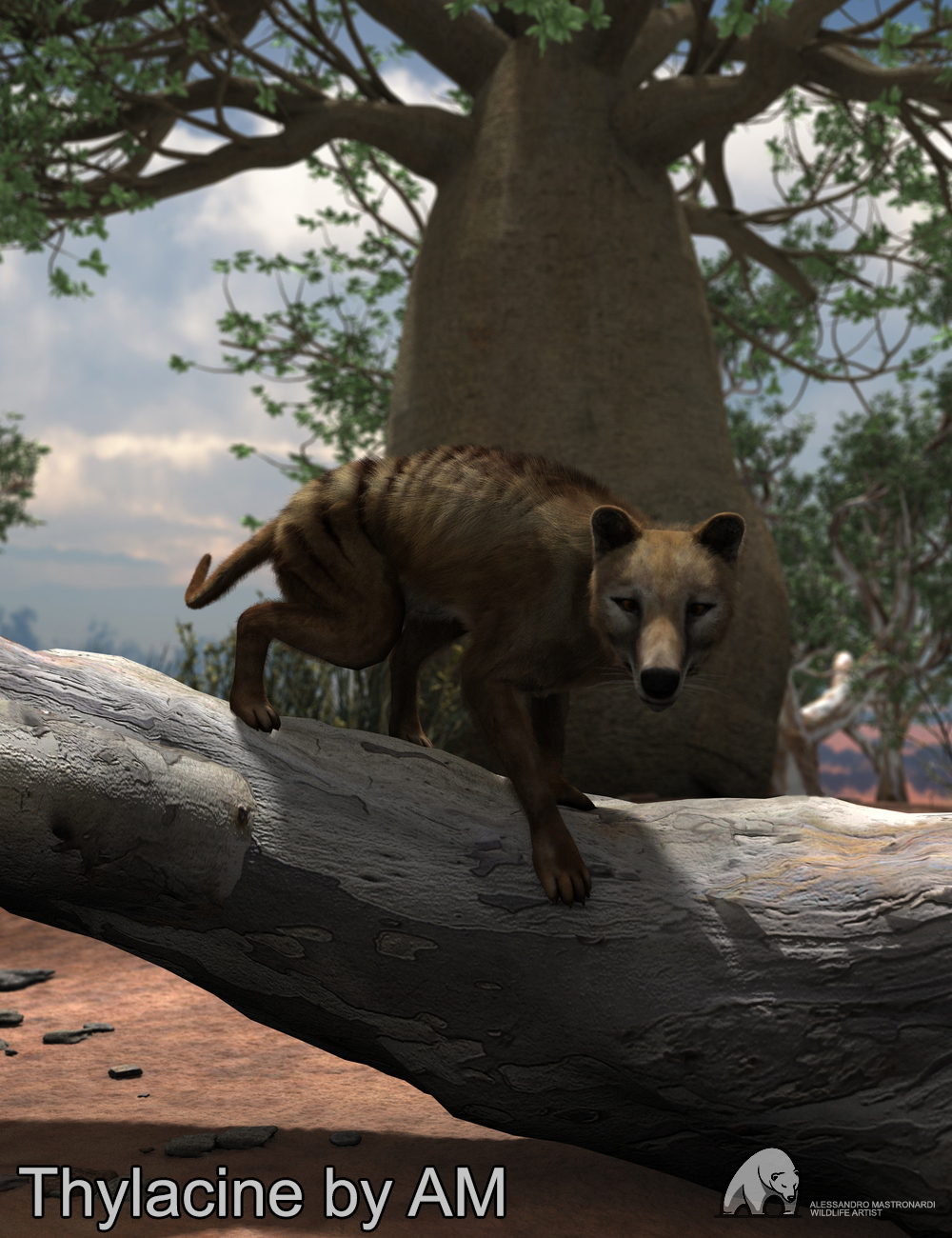 Thylacine by AM by: Alessandro_AM, 3D Models by Daz 3D