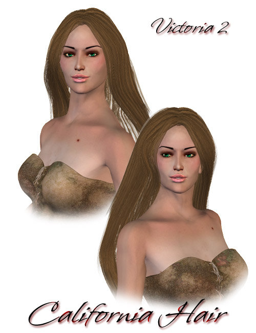 California Hair by: 3D Universe, 3D Models by Daz 3D